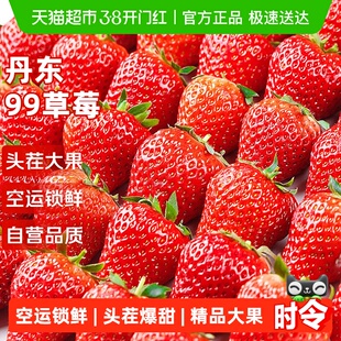 丹东红颜草莓新鲜应当季水果礼盒99九九牛奶油草莓