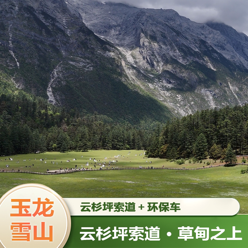 [玉龙雪山-云杉坪索道+园内环保车]【云杉坪小索道单票】