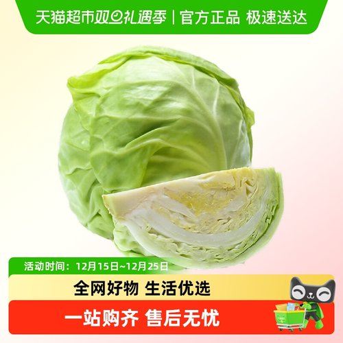 有机高山种植有机水果甘蓝