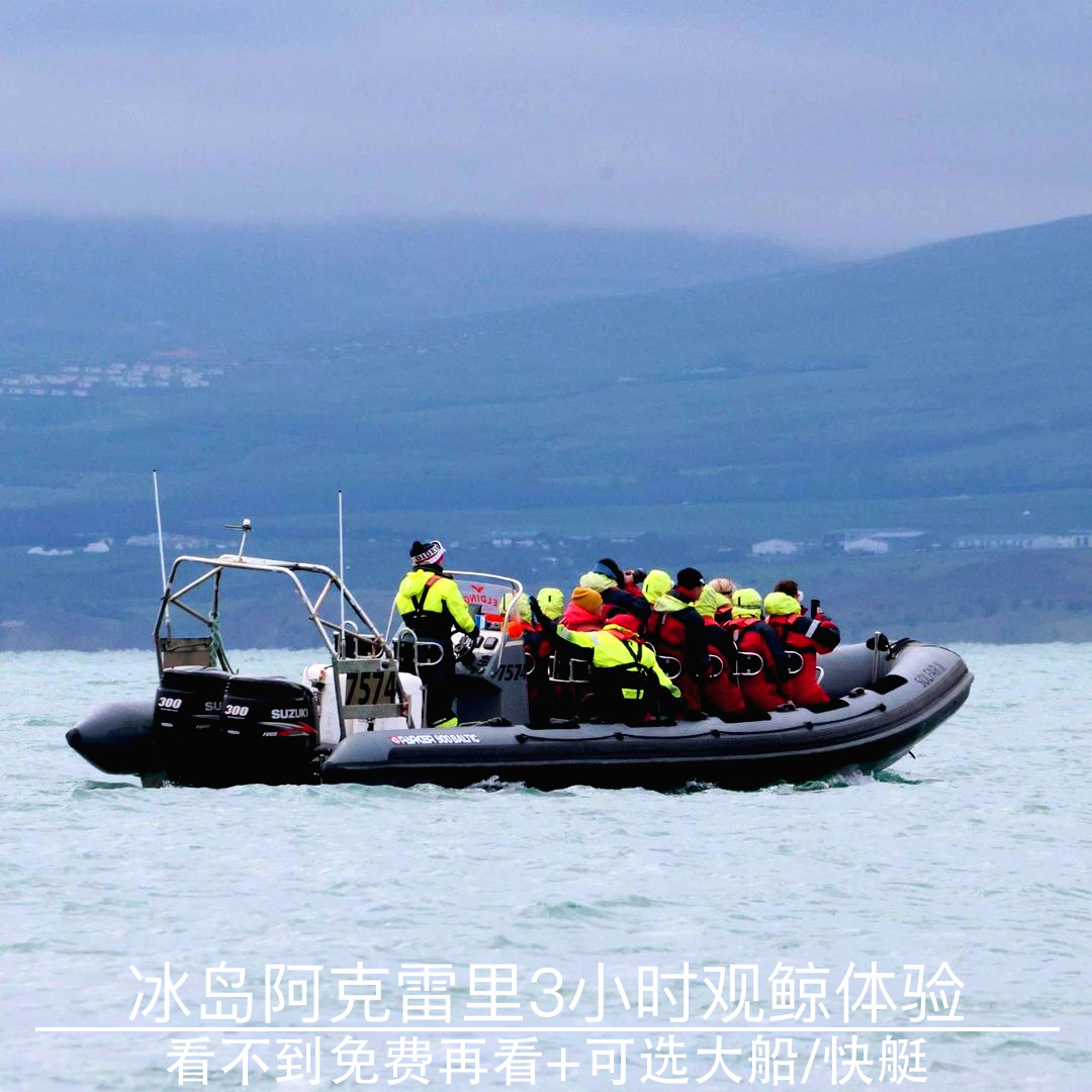 冰岛阿克雷里观鲸体验3小时之旅看不到再来全新大船可选快船