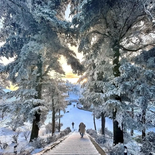 【冬季预售】庐山2日 宿4星温泉主楼｜李白瀑布 鄱阳湖 白鹿书院