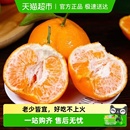 四川春见耙耙柑新鲜水果柑橘橘子当季 新鲜香甜桔子水果整箱