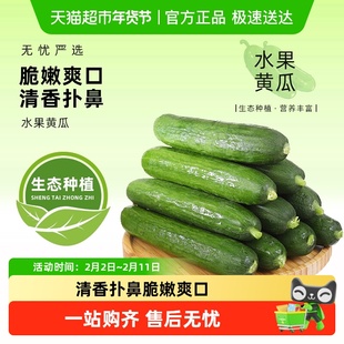 寿光蔬菜新鲜水果小黄瓜生吃无刺黄瓜青瓜清脆现摘