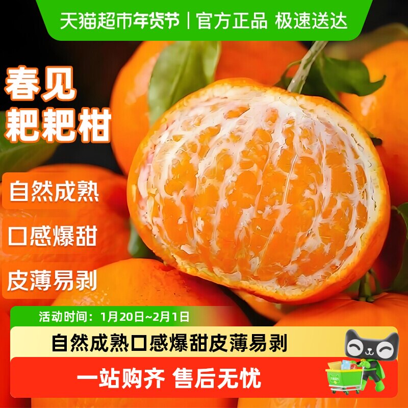正宗四川春见耙耙柑新鲜现摘应当季水果整箱粑粑柑丑橘子杷杷甜桔,水产肉类/新鲜蔬果/熟食,桔子,淘宝优惠券,粉丝福利购,淘宝优惠卷