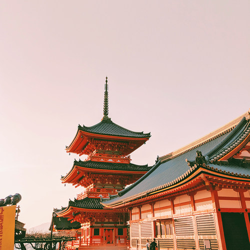 【包机控房】全国飞日本多航班可选、心选性价酒店~ 【天天出发】不论您身处何方，随时随地每天都可出发~ 【专业服务】境外旅居多年旅游策划师，为您量身策划行程~ 【急速响应】在线客服随时为您答疑解惑，欢迎咨询可电话~