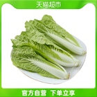 每日鲜 小白菜300g蔬菜 优惠价5.8元