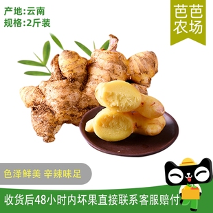 芭芭農(nóng)場(chǎng)兌換 云南小黃姜2斤裝