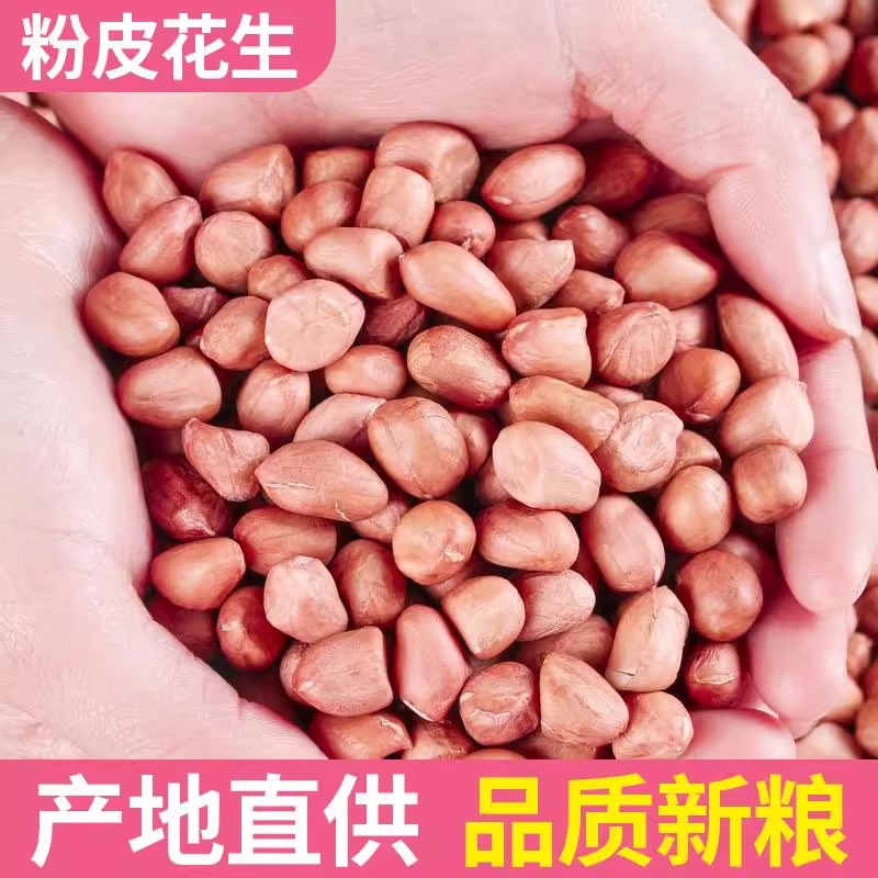 新货现剥白沙花生米特级新鲜精选干货无壳零食营养美味小吃