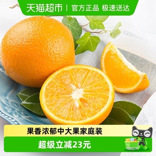 应季 产地直发 现摘 果香浓郁 Dole 9斤中大果家庭装 都乐赣南橙