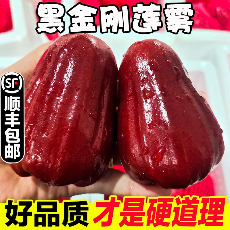 海南黑金刚莲雾4斤新鲜当季水果现摘正宗红宝石连雾果树上熟顺丰