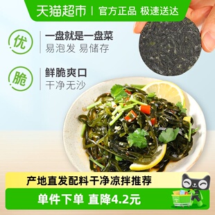 溢源压缩海带丝霞浦烘干海带丝干货96g凉拌下饭菜新鲜圆饼小包装