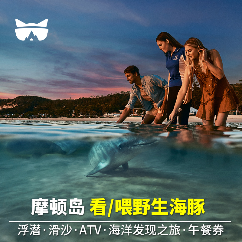 布里斯班海豚岛船票午餐券