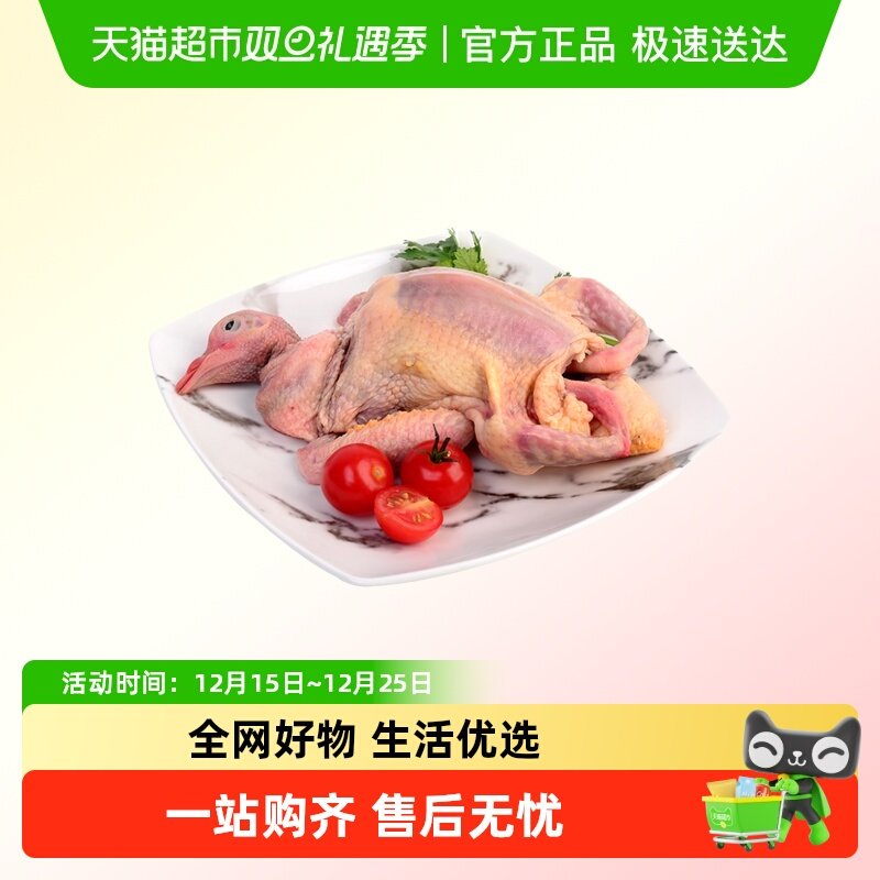 天天鲜鸽子250g/盒