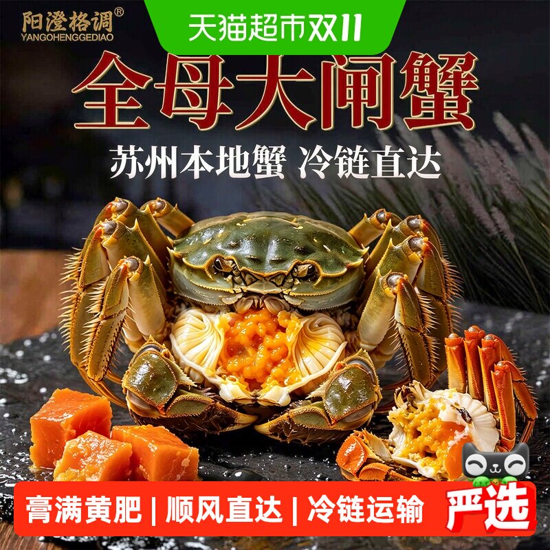 【活蟹】阳澄格调大闸蟹全母蟹鲜活螃蟹湖蟹现货水产礼盒海鲜礼盒