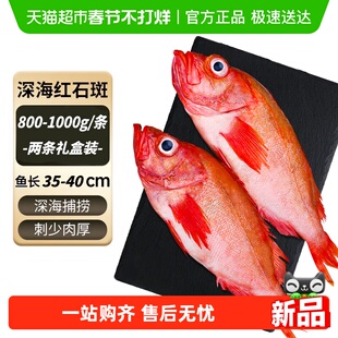 九十六次鲜冰岛红石斑鱼鲜活冷冻超大红鱼龙胆深海富贵鱼送礼盒装