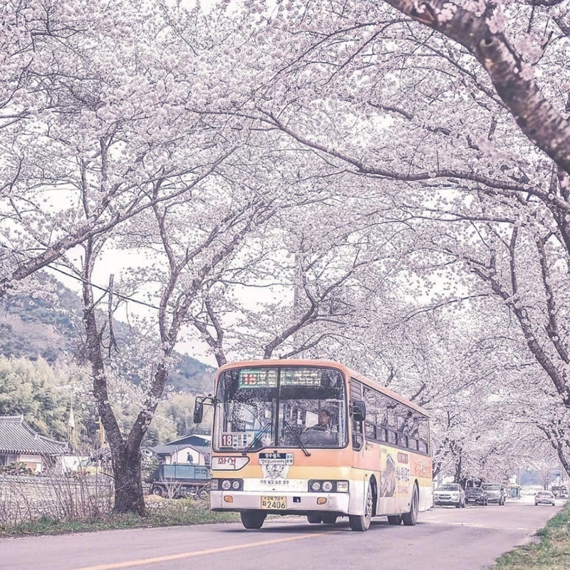 日本·三年多次旅游签证·北京送签·日本三年多次签证旅游