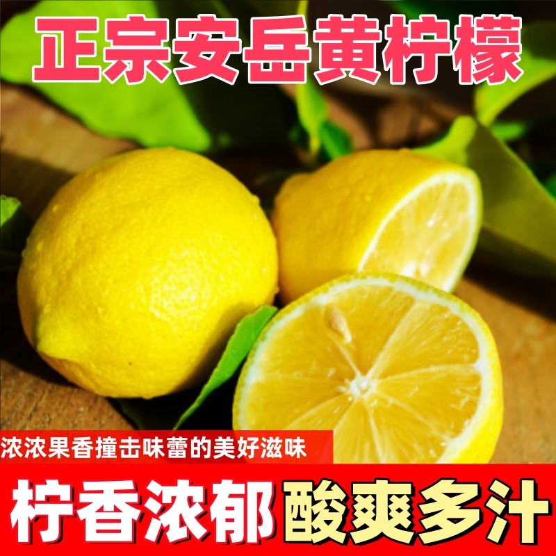 安岳新鲜黄柠檬大果黄皮柠檬非无籽薄皮柠檬奶茶店商用鲜果直发