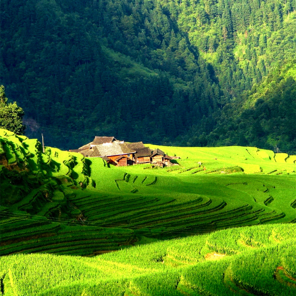 贵州黄果树4天私家团