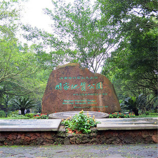 [海南海口石山火山群国家地质公园-大门票]海口雷琼火山口门票