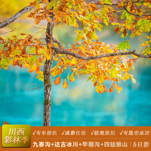 空座团｜成都九寨沟毕棚沟达古冰川旅游6人小团 川西跟团游5天4晚