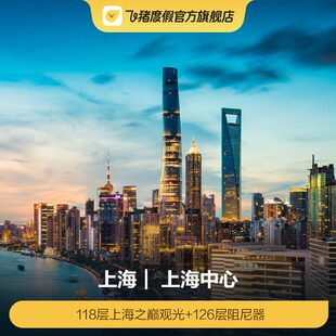 [上海中心-118层上海之巅观光+126层阻尼器演绎]上海中心