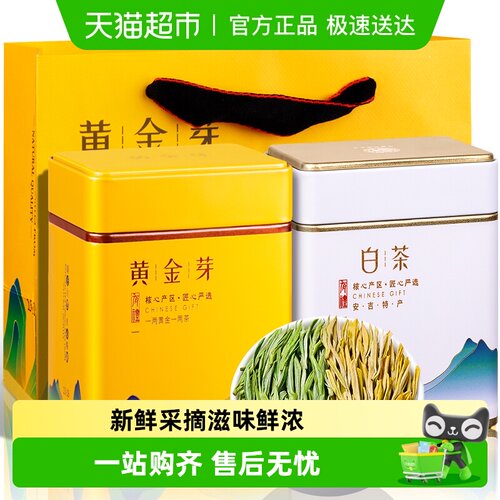 福茗源2025明前新茶茶叶