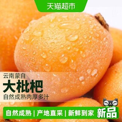 柠满园云南蒙自新鲜采摘鲜果