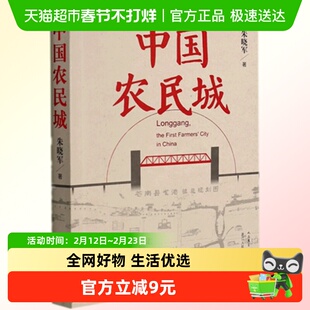 中国农民城 朱晓军著 电视剧小城大事原著小说 人民文学出版社