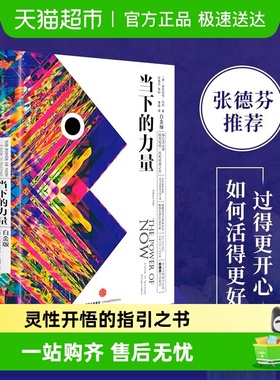 正版包邮 当下的力量 全新白金版自我励志心灵大师之作新华书店