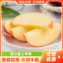 时令水果甜脆果子整箱 洛川富士苹果新鲜当季 费限秒 免邮