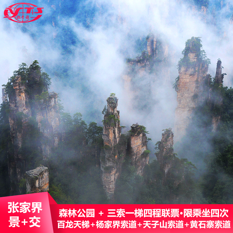 森林公园门票三索一梯多程