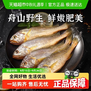 遇上鲜舟山小黄鱼深海捕捞海鱼小黄花鱼生鲜海鲜水产新鲜冷冻烧烤