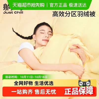 躺岛高效分区鸭绒被双人被