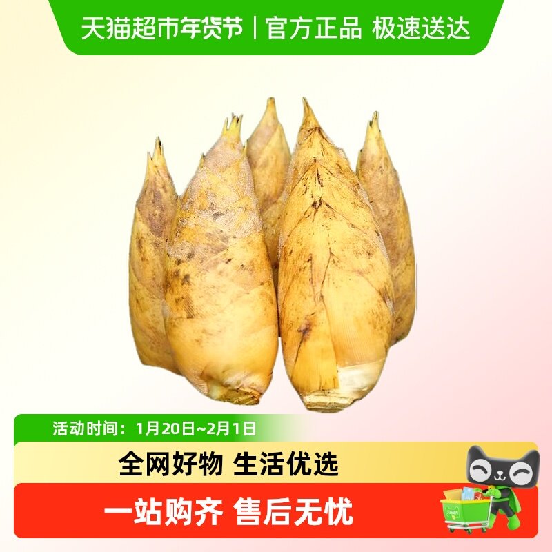 新鲜冬笋农家现挖竹笋黄泥竹笋冬笋嫩笋甜笋大冬笋,水产肉类/新鲜蔬果/熟食,包装鲜笋,淘宝优惠券,粉丝福利购,淘宝优惠卷