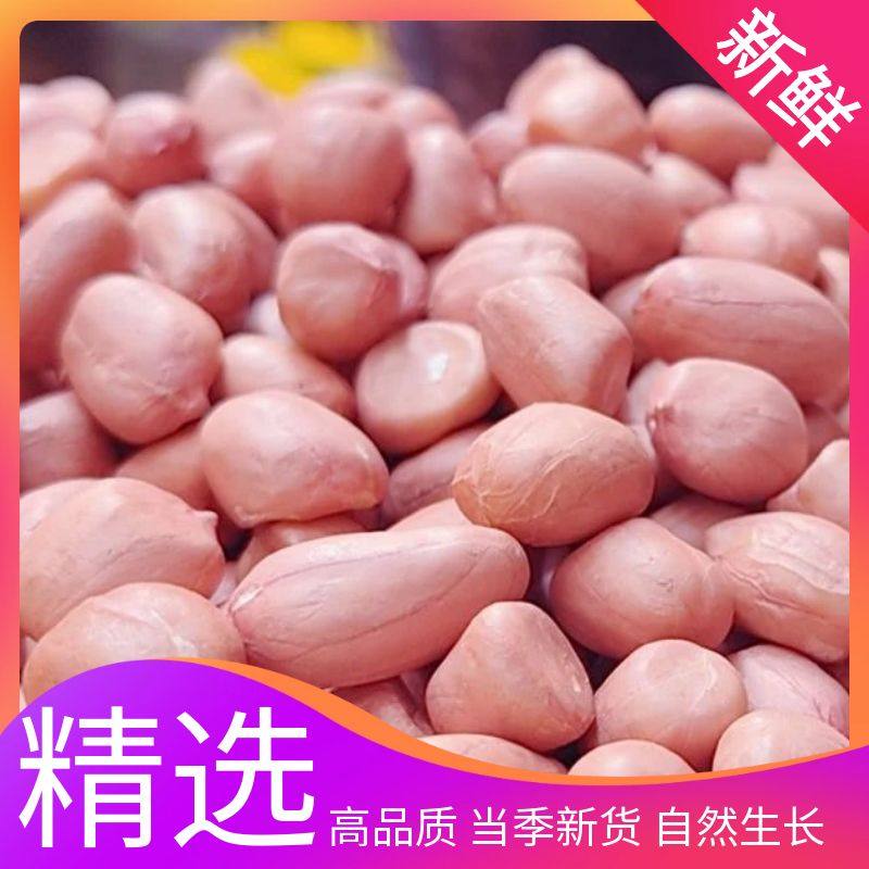 新货现剥白沙花生米特级大粒粉红皮带壳不带壳现摘晒白沙花生