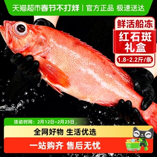 海仙部落深海红石斑鱼鲜活新鲜冷冻特大红鱼龙胆大眼富贵鱼海鲜水