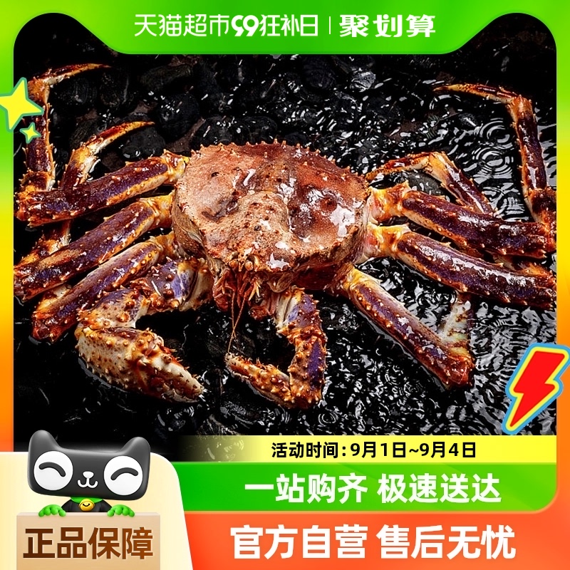 【活发】帝王蟹鲜活海鲜水产6斤超特大皇帝蟹长脚蟹冷冻蜘蛛螃蟹