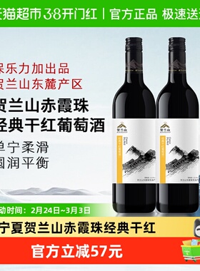 贺兰山赤霞珠经典干红葡萄酒宁夏产区国产红酒750ml*2瓶