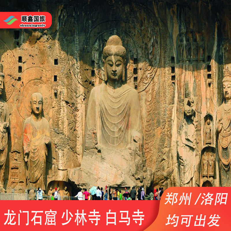 郑州洛阳出发少林寺一日游河南旅游嵩山少林寺塔林龙门石窟白马寺