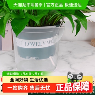 顺丰发货牵鲜绿萝花盆自动吸水家用透明套盆厚耐用塑料树脂加仑盆