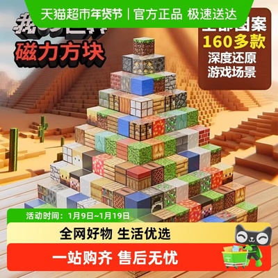 积木世界磁力方块积木24颗