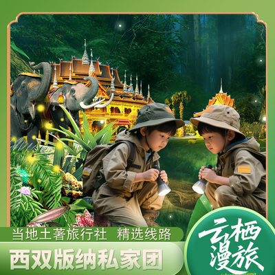 云南西双版纳旅游纯玩私家团5天4晚 0自费 轻奢亲子 闺蜜 情侣游