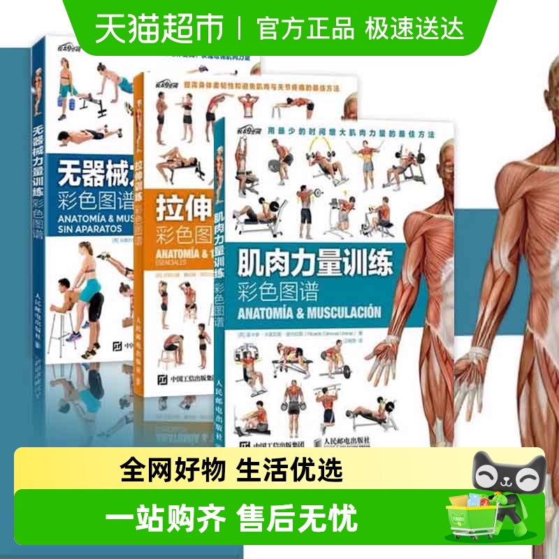 拉伸训练彩色图谱+肌肉力量训练