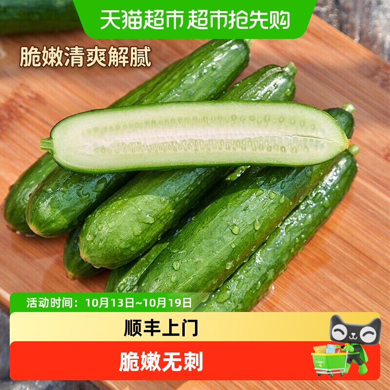 顺丰上门【瓜憨憨】新鲜水果黄瓜脆爽生食脆嫩可口健康营养丰富