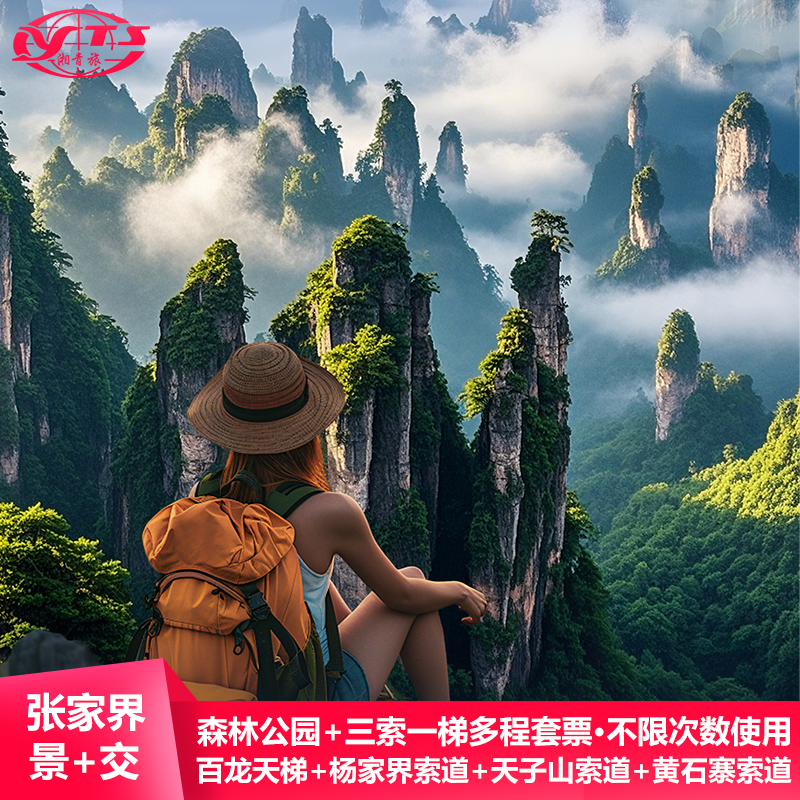 森林公园门票三索一梯多程