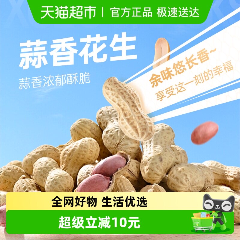 薛记炒货蒜香花生五香花生米山东特产下酒坚果炒货袋装