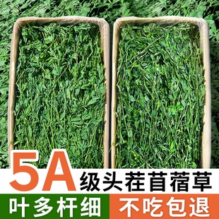 yee苜蓿草烘烤幼兔粮紫花干草1kg兔子饲料龙猫烘干燕麦新牧草用品