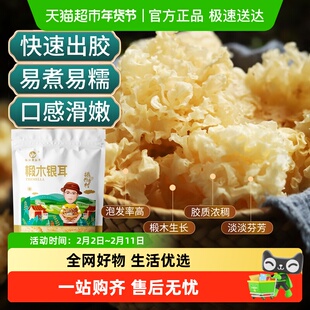 怡江黄金耳精选椴木小银耳150g古田特产干货糯耳雪银耳鲜炖银耳羹