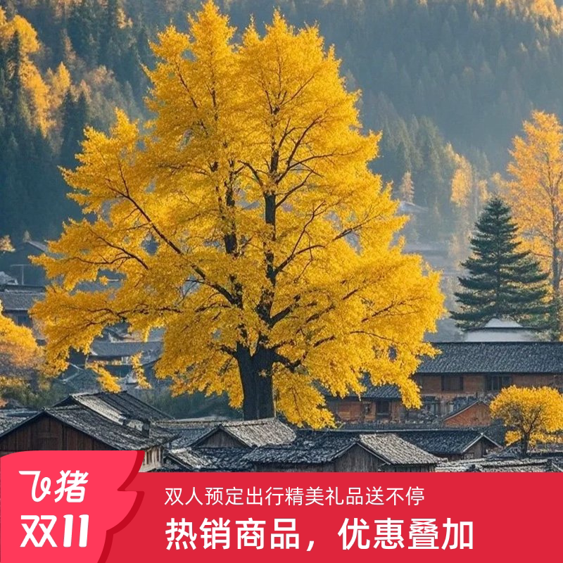 云南芒市腾冲瑞丽6日纯玩小团游｜2-8人精品团·夫妻情侣亲子优选