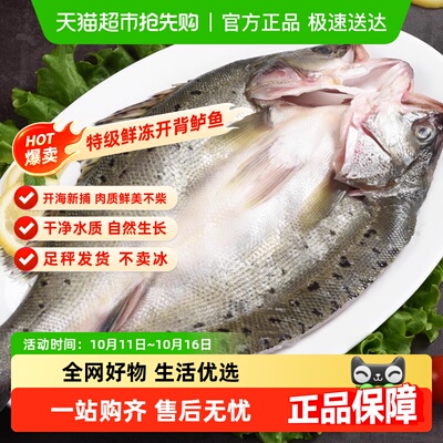 渔游记新鲜开背冷冻海鲈鱼